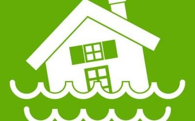 Is Your Home’s Basement or Foundation Leaking? Finding the Source